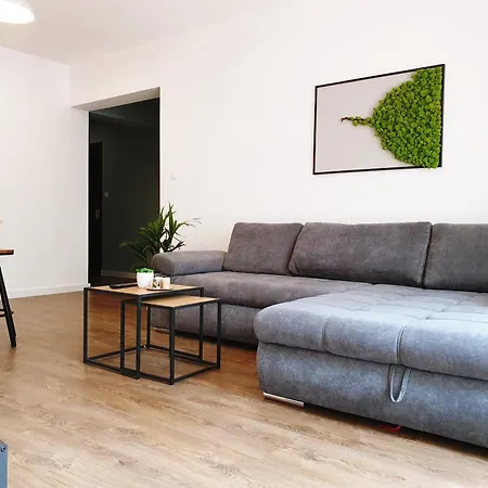 Apartament Milionowa *